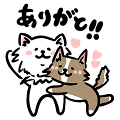 my favorite Chihuahua PHI and CHIKUWA