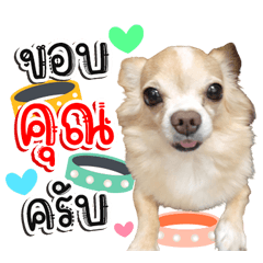 My name is Happy ver.01