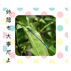 hana_20210922212356