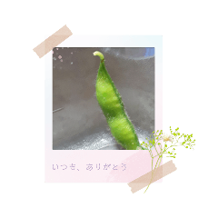 Hokori_20210922190257