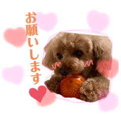 yuka______