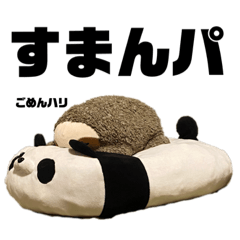 nanami_20210922221449