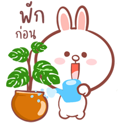 Cony and the new words that hit my heart