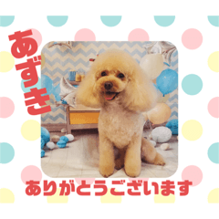 HappyBathPepのお友達H