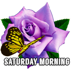 flowers and butterfly
