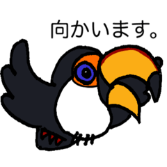 cute Tocotocan