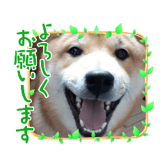 Hana_20210923001351