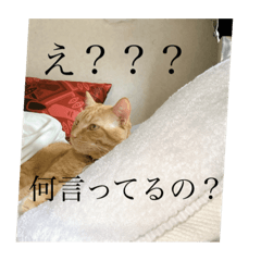 NATSUMI_20210916220546