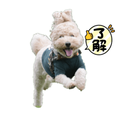 Hona_20210923094842