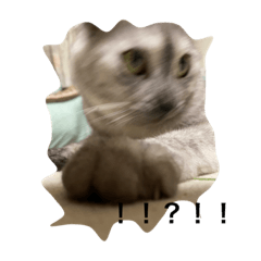 natsumi_20210916234129