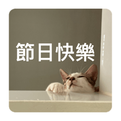 里納日常