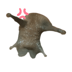 可愛der小蝸牛(◍•ᴗ•◍)