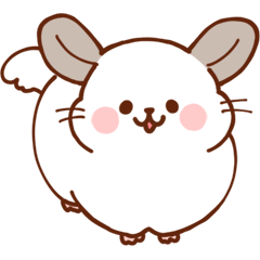fluffy chinchilla