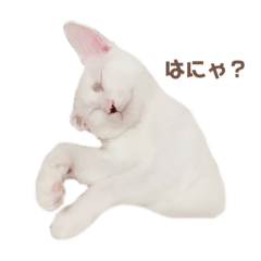 Ayuu_20210917084412