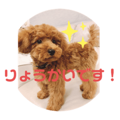 risa_20210923144902