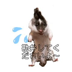 enmyo_20210923132549
