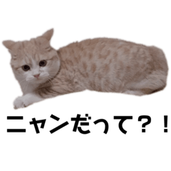 chiitan_20210923161420