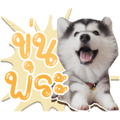 Iamnook_20210923065053