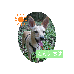 tomomi_20210923161434