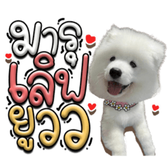 Iamnook_20210923065520