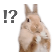 saori_20210917223347