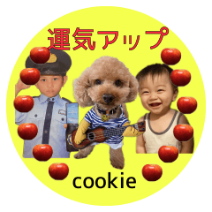 Cookie Lucky Stickers