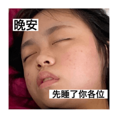 君寶2.0
