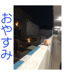yuto_20210923191109