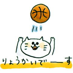 cat&basketball