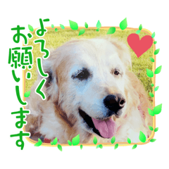 花ちゃん&ベルちゃんスタンプ