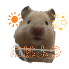 Miki_20210923212146