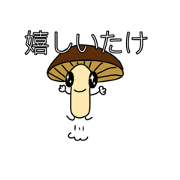 MATUSAKA_20210923210547