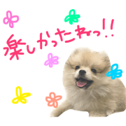 kinakochan.