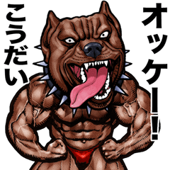 Koudai dedicated Muscle macho animal