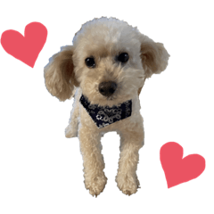 nanami_20210917152543