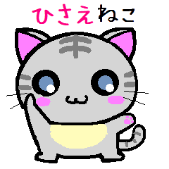 Hisae cat