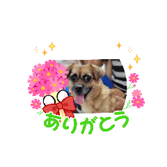 suzu_202109170800