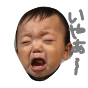 yamatoboy2