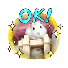 yuka_20210923215004