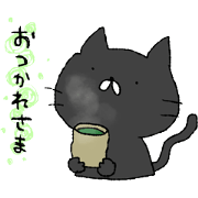 black cat cat!