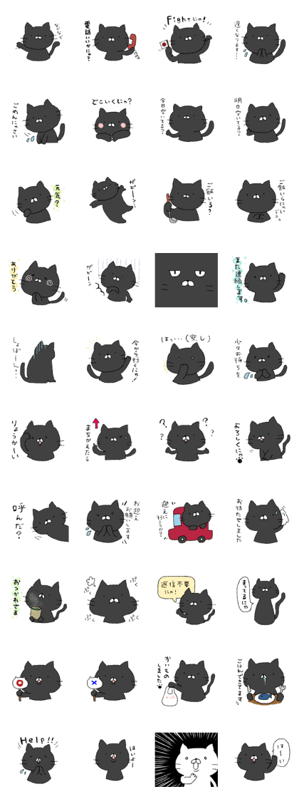 black cat cat!