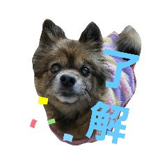 Cherry_20210924114952