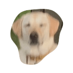 ima_20210918144340