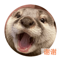 otters thanks sticker