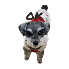 mizuki_20210918152435