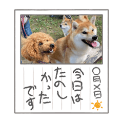 miki_20210924135006
