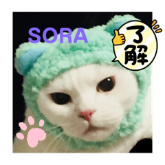 RINGO_20210918173012