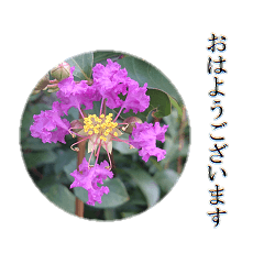 大人のお花のスタンプ【４】
