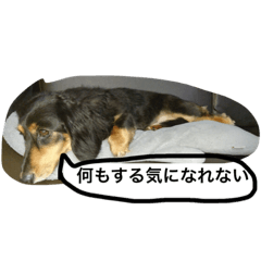 Kuro stamp.
