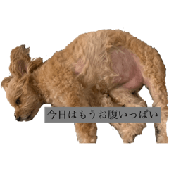 SAYA_20210918232455